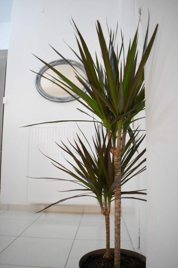 4Seasons Apartment Thebes Extérieur photo